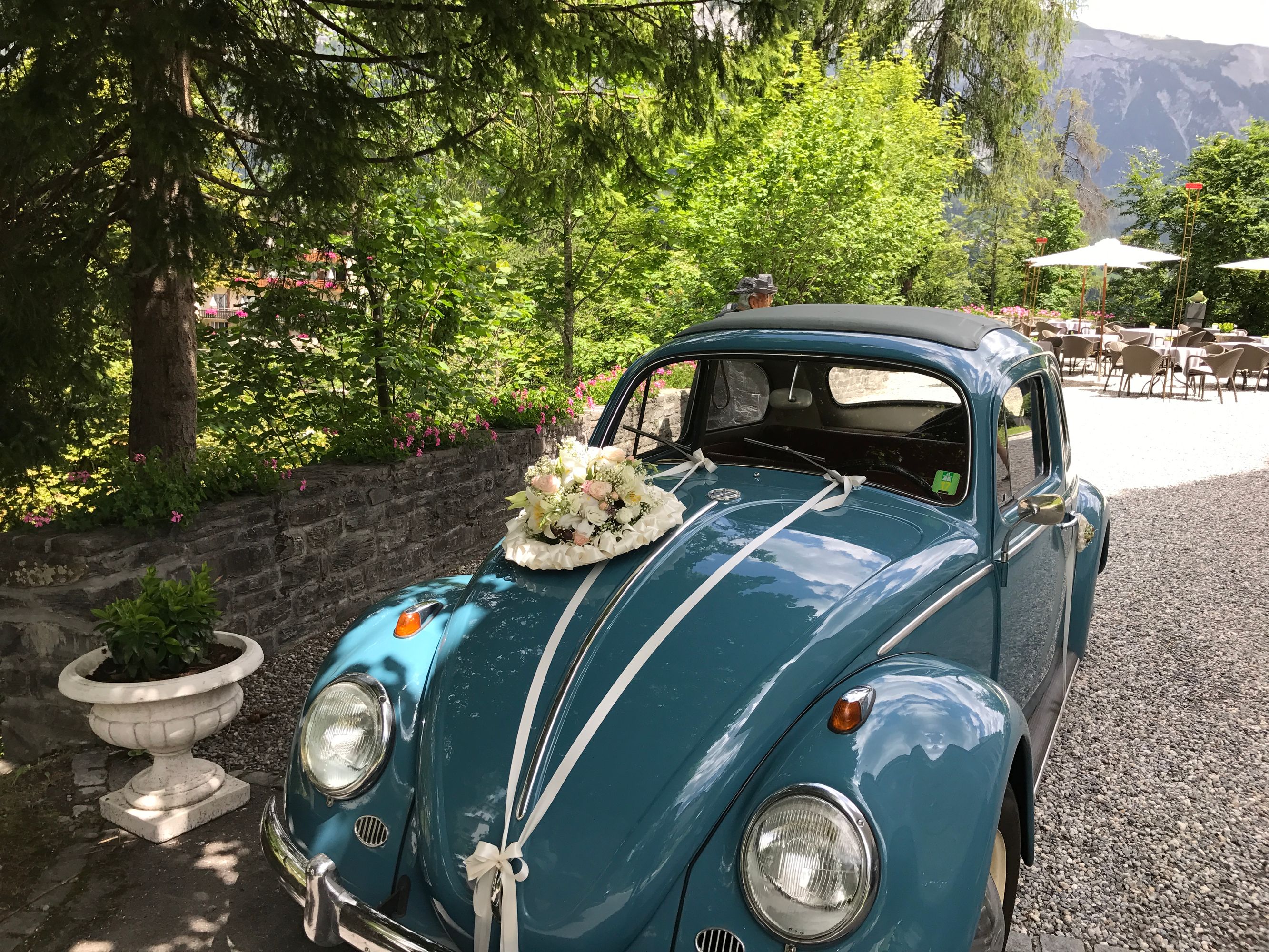 Bilder Blumen Candinas / Fluras Candinas