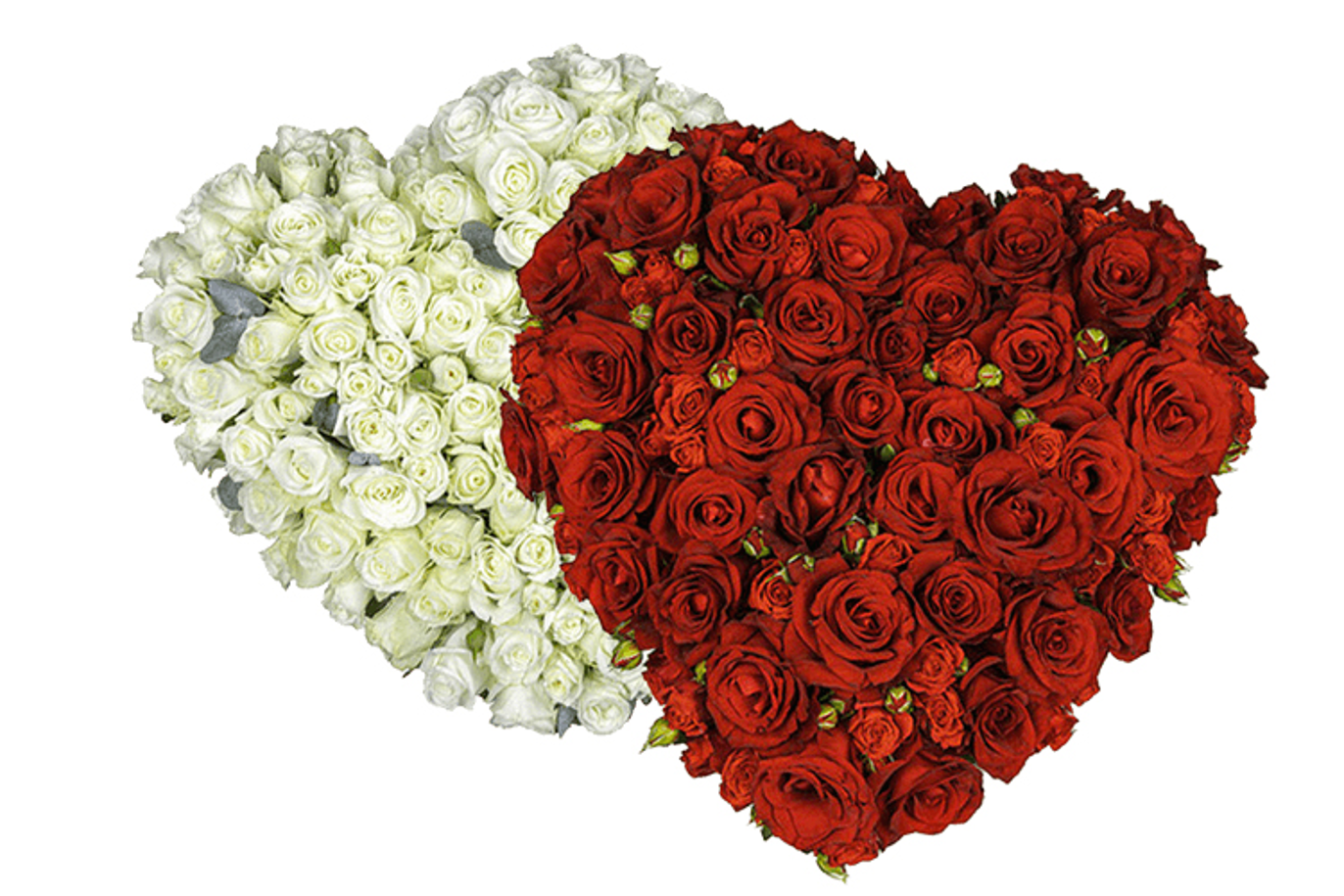 Images Rønnaug's Begravelsesbyrå