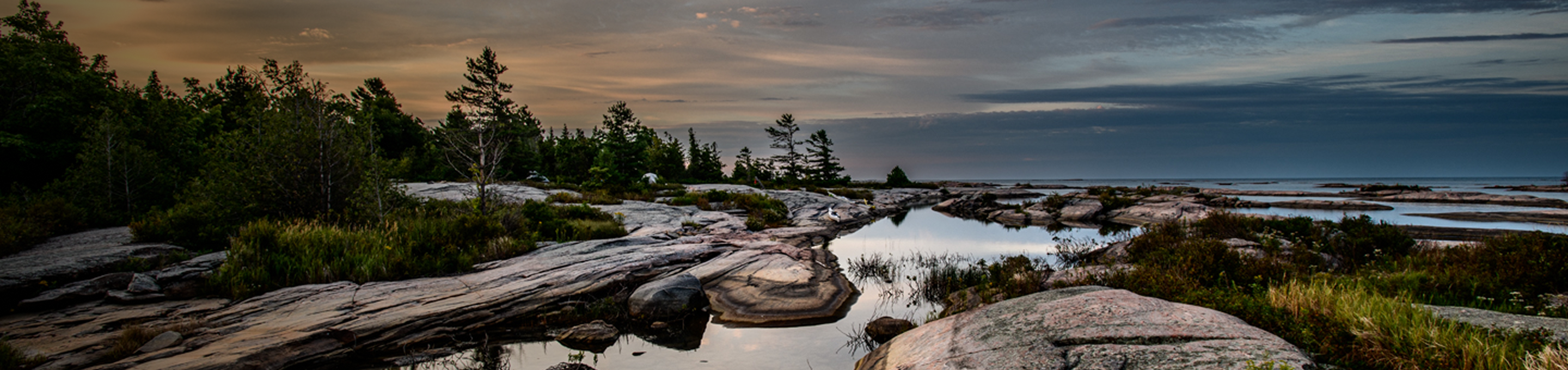 Tide pools on a rocky shoreline.