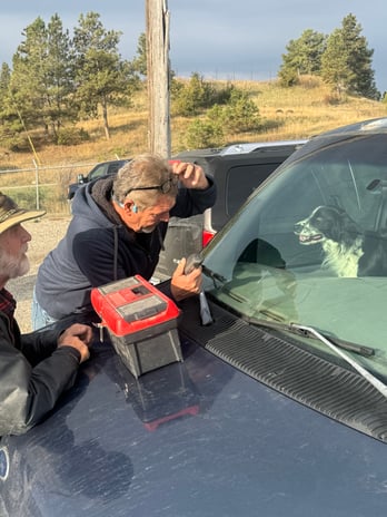 Images Dimmicks Auto Sales