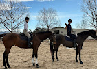 Images Star Ridge Stables