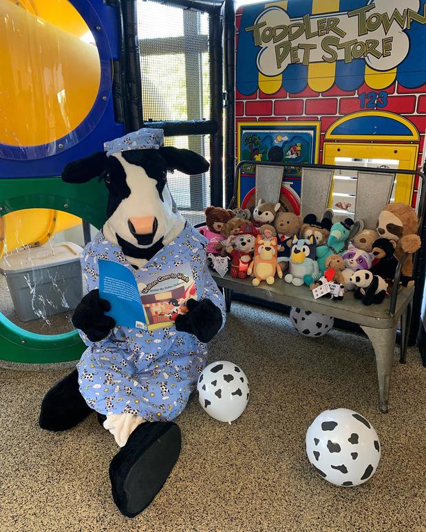 Images Toodleydoo Toys