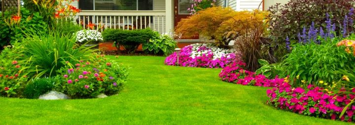 Images Gravely Hydroseeding Excavating & Septic Systems