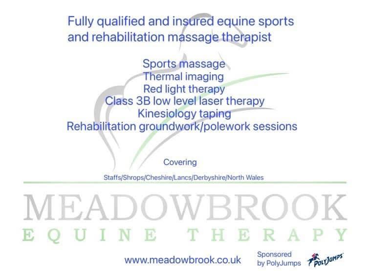 Images Meadowbrook Equine Therapy