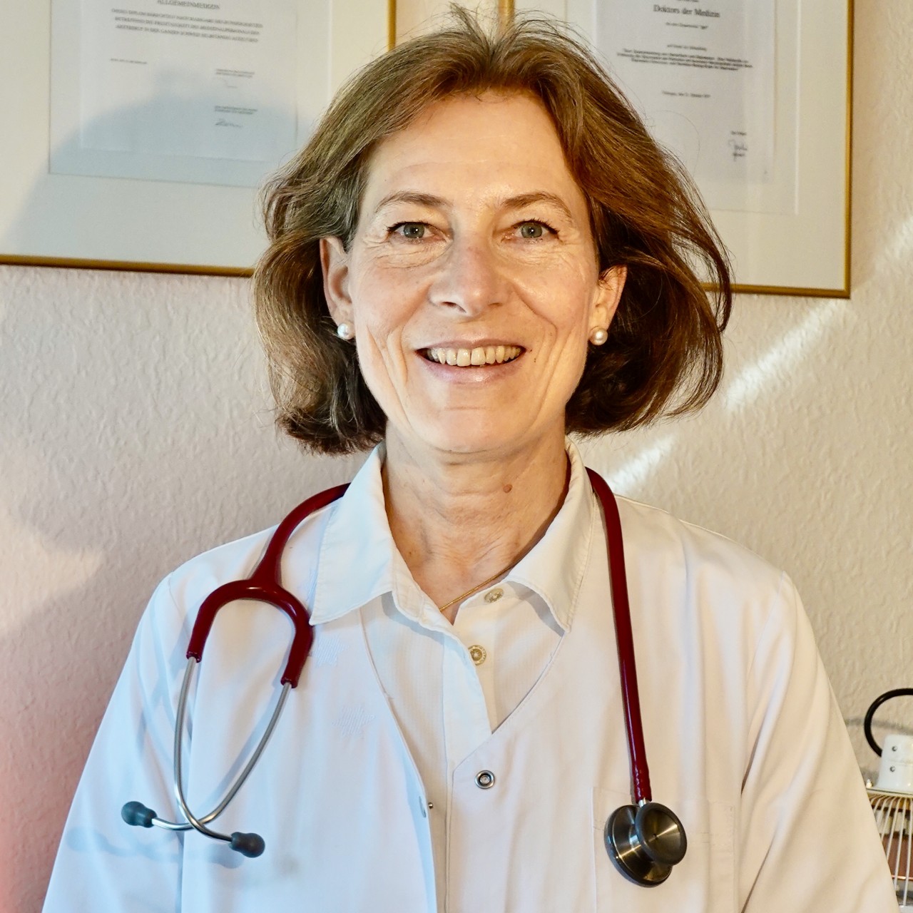 Praxis für Akupunktur, TCM, Phytotherapie, Kräutermedizin, Tibetische Medizin, Kirchenfeldstrasse 31 in Bern