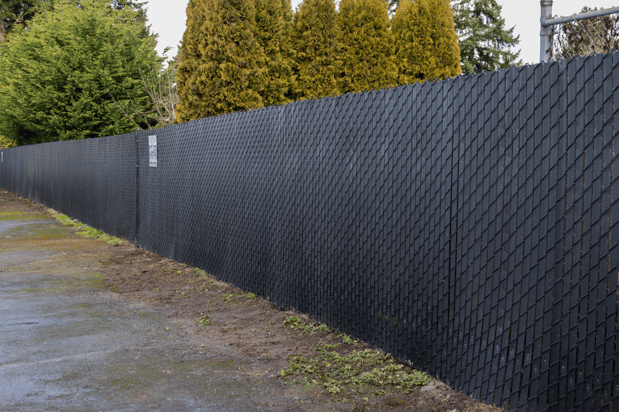 Images Rare Bears Fencing