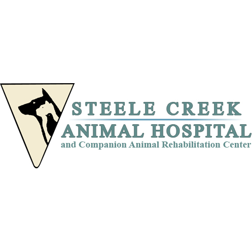 elk creek animal hospital of hikes point
