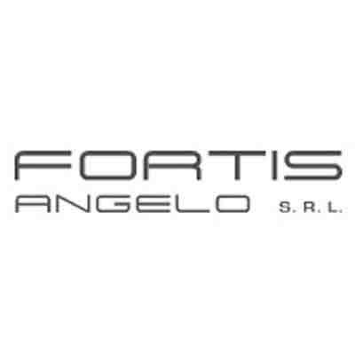 Fortis Angelo S.r.l. Logo