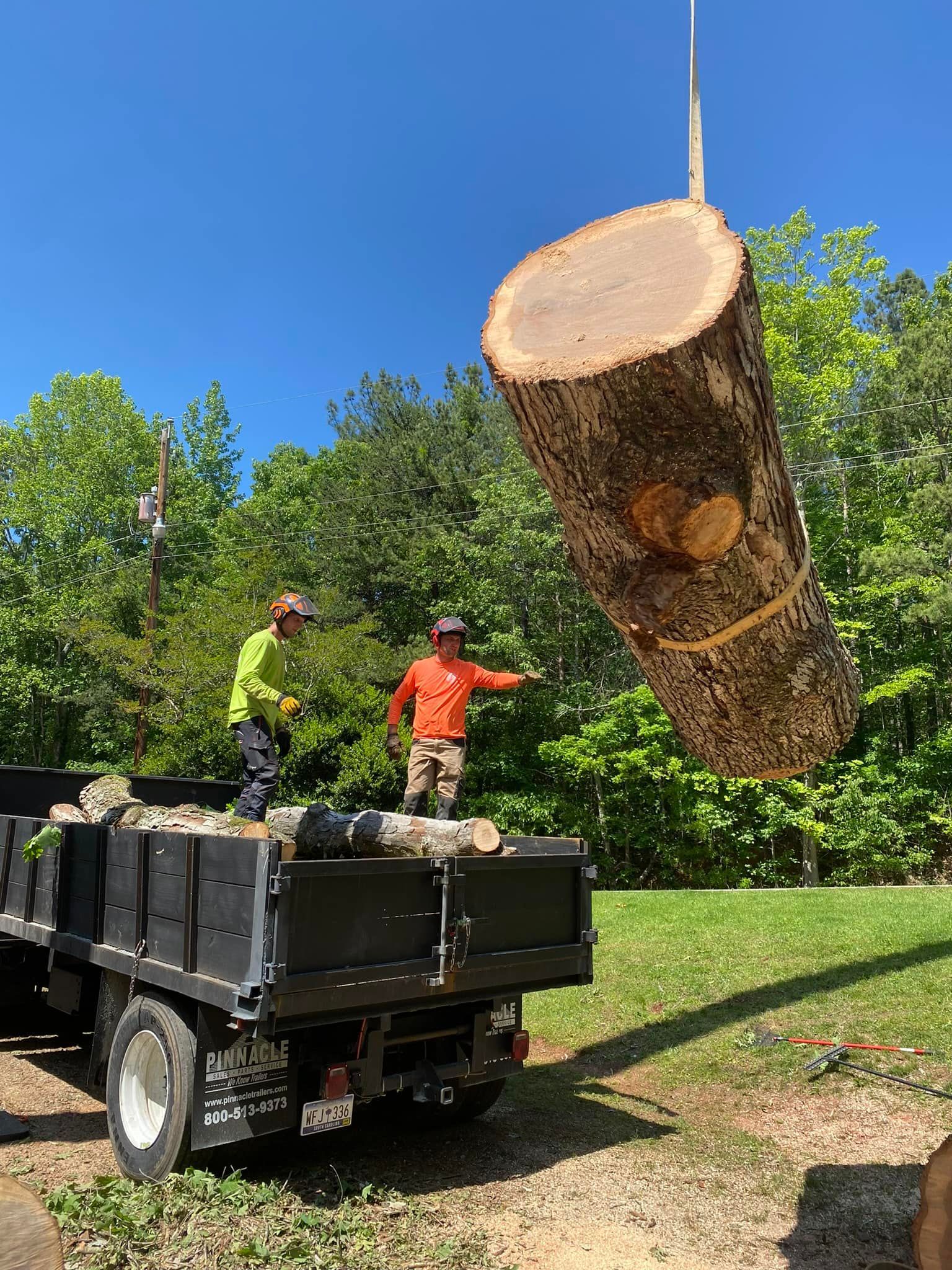 Two workers load a large cut tree log into a truck using lifting equipment, wearing safety gear, surrounded by greenery, demonstrating controlled tree removal and heavy log handling operations outdoors.
