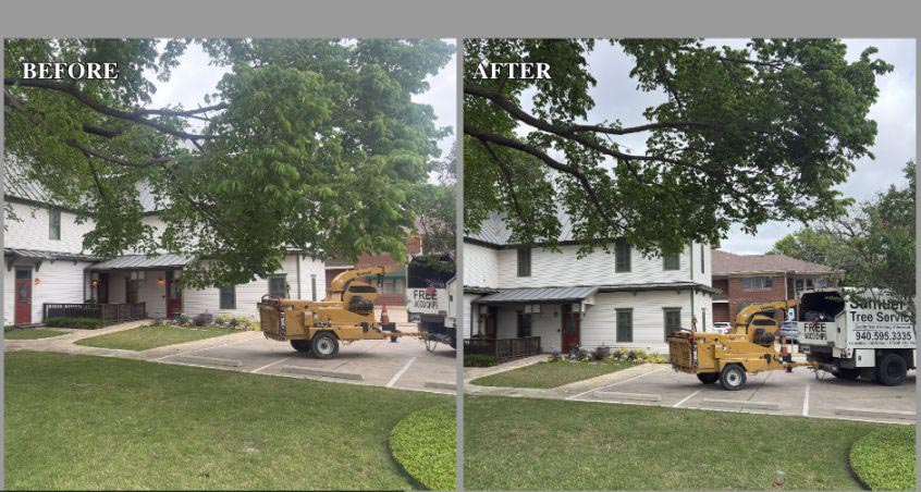 Before and After 