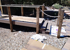 Aragon's Pro Painting Image