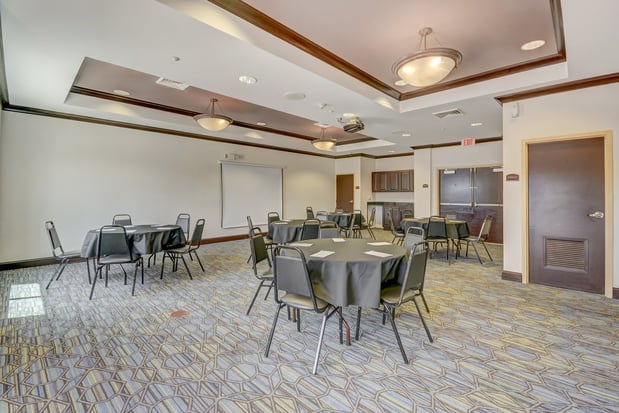 Images Holiday Inn Express & Suites Tampa -Usf-Busch Gardens by IHG