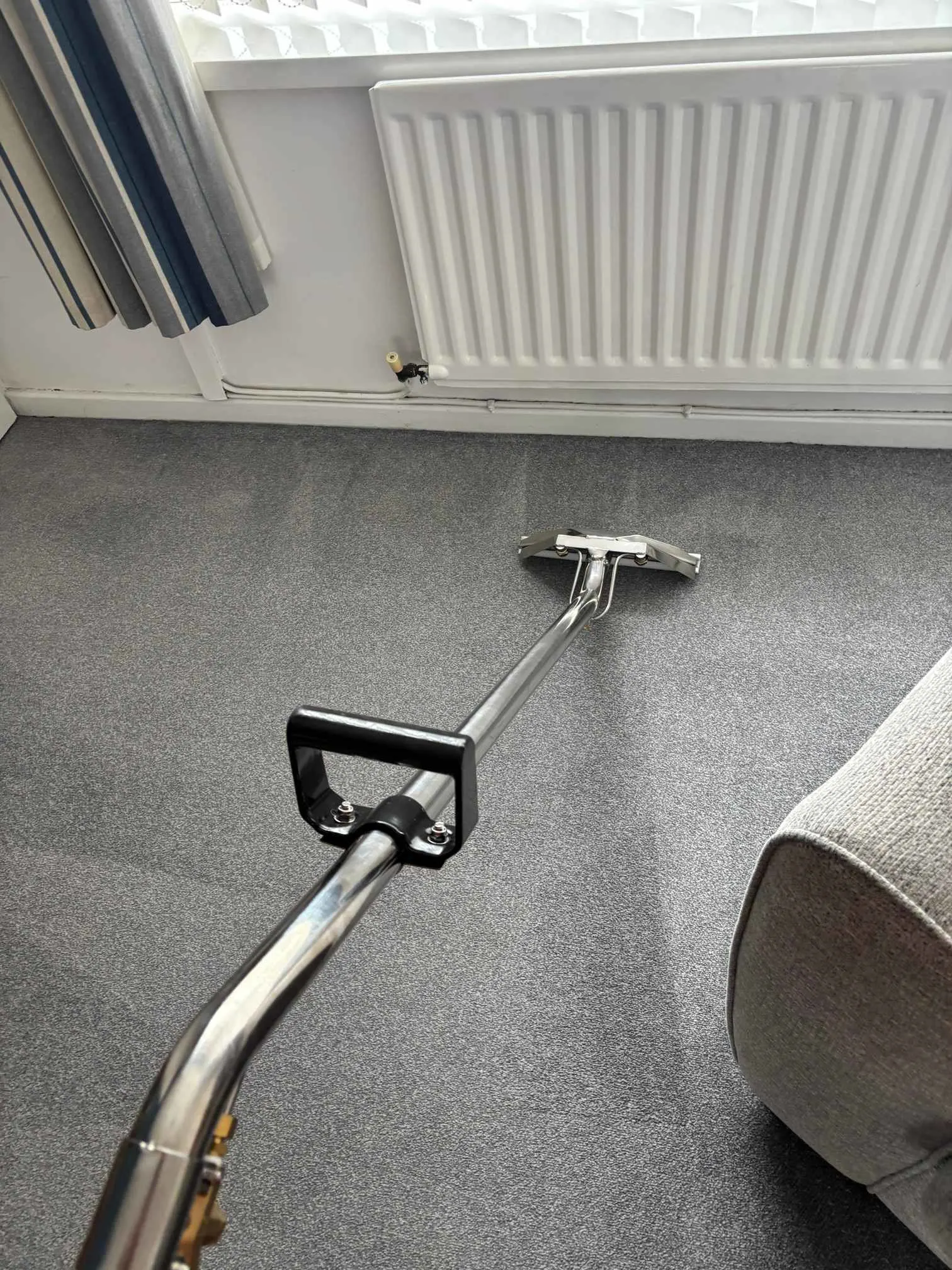 Images Carpet Care NE