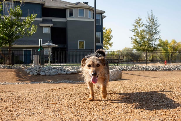 Images Camden Lakeway Apartments