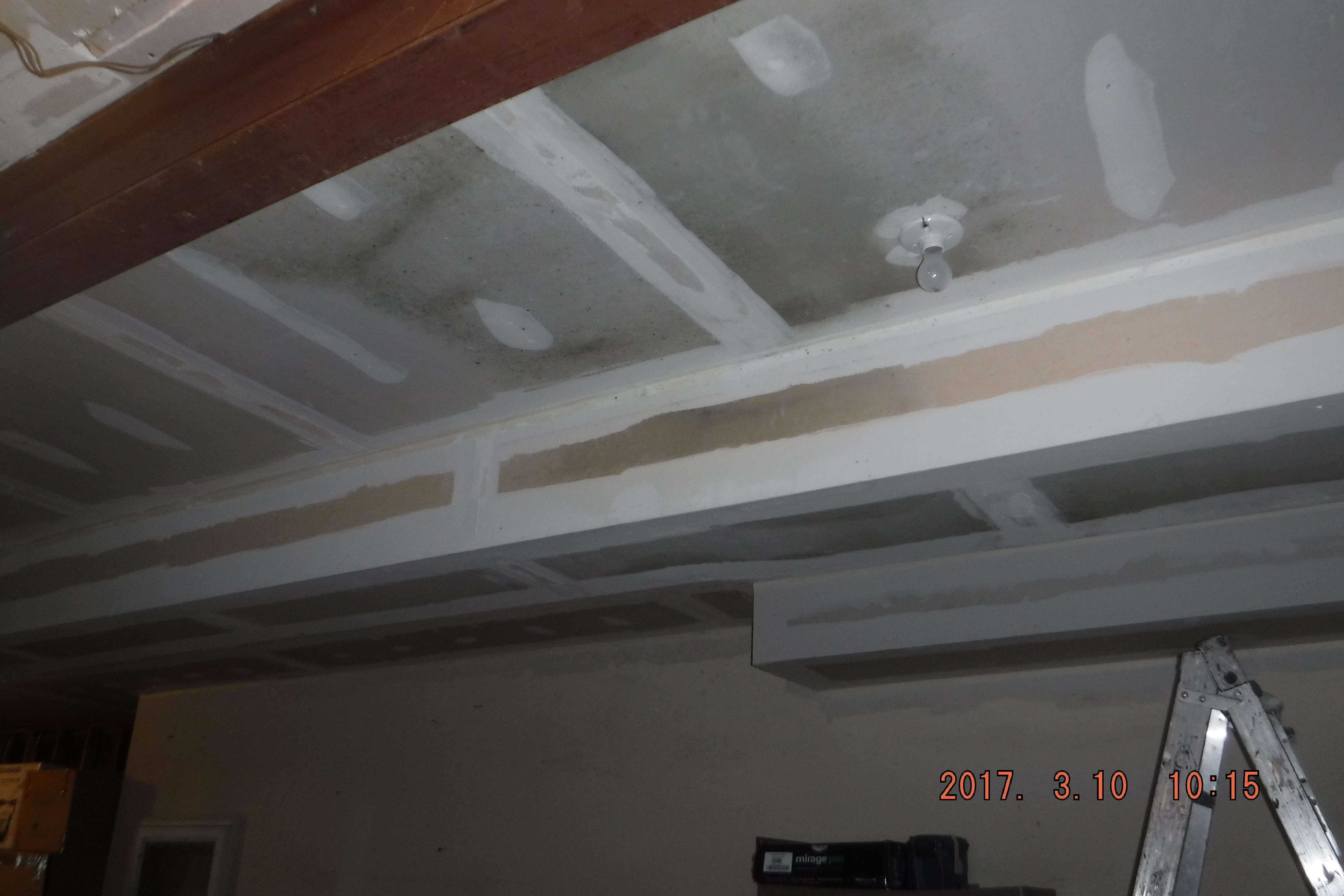 Mold Damage in Newtown, PA