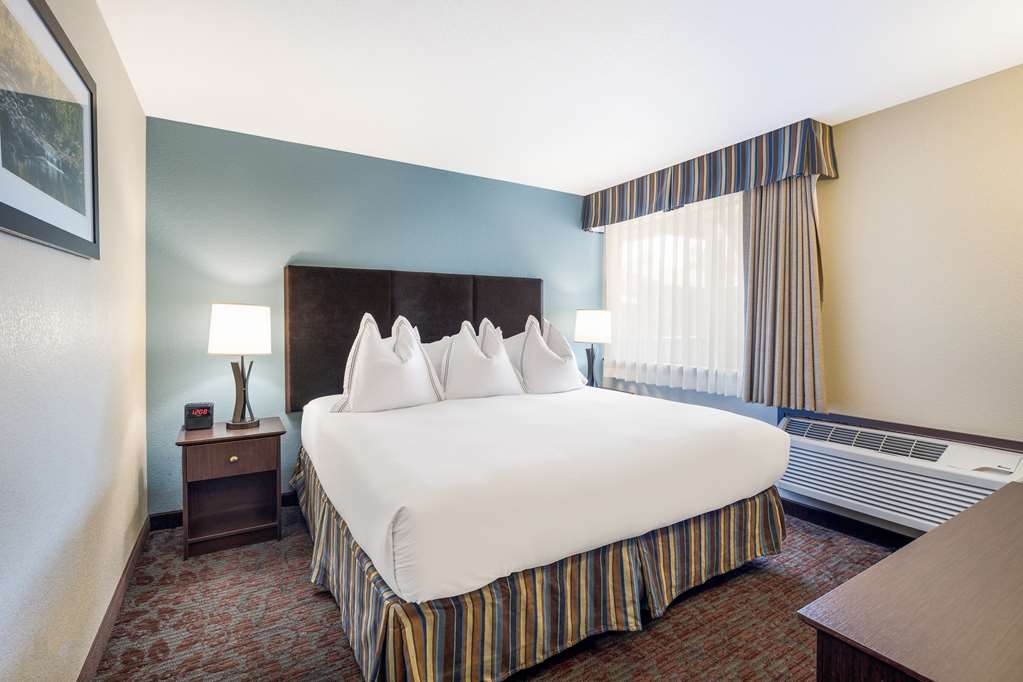 KingSuite