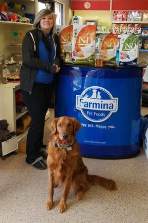 Images Paws Inn Pet Essentials