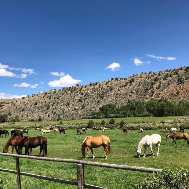 Images CM Ranch