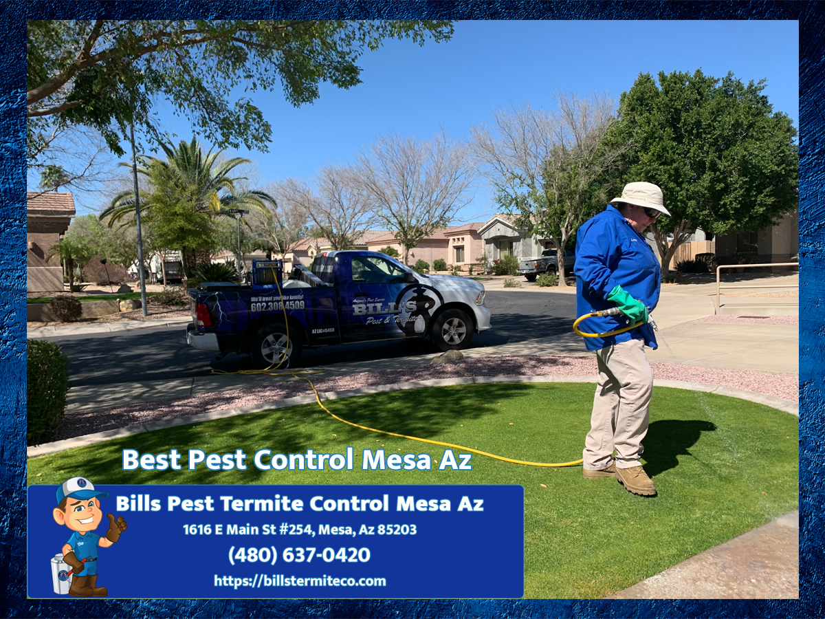 Bills Pest Termite Control Mesa Az Image