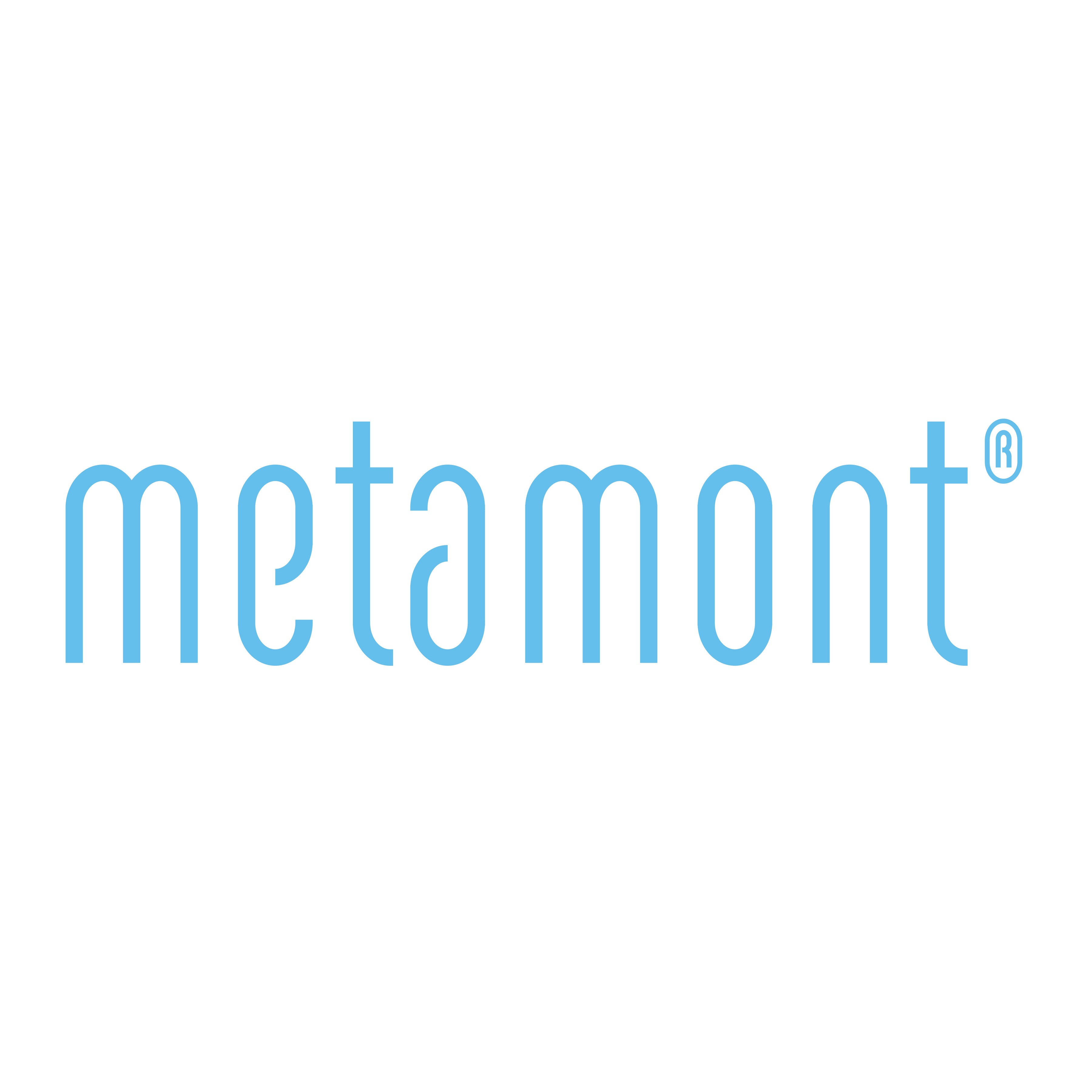 Metamont AG Logo
