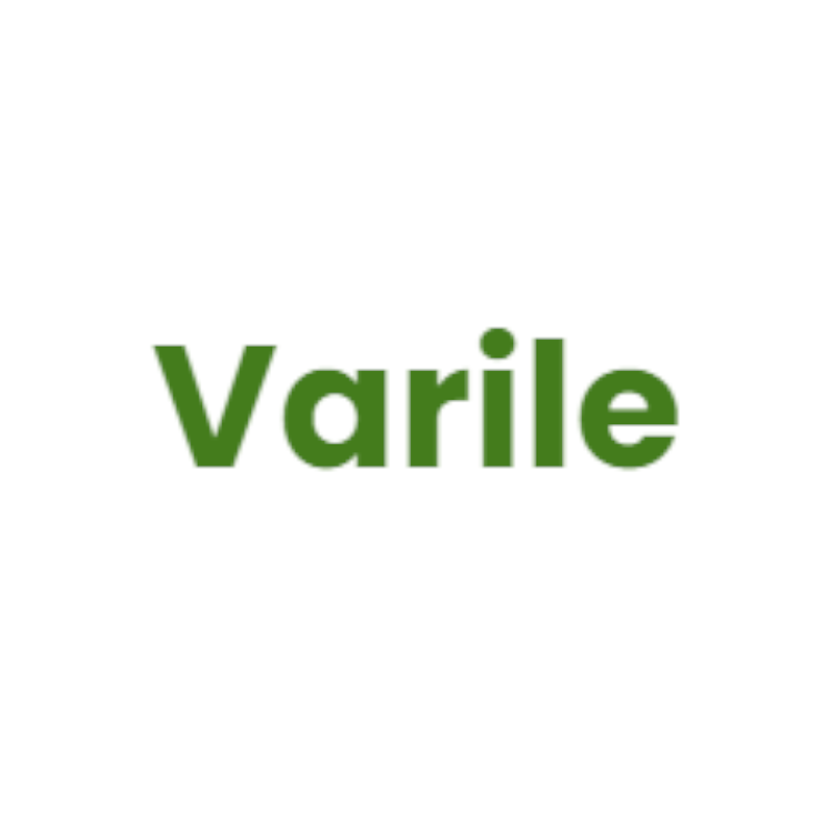 Logo Varile