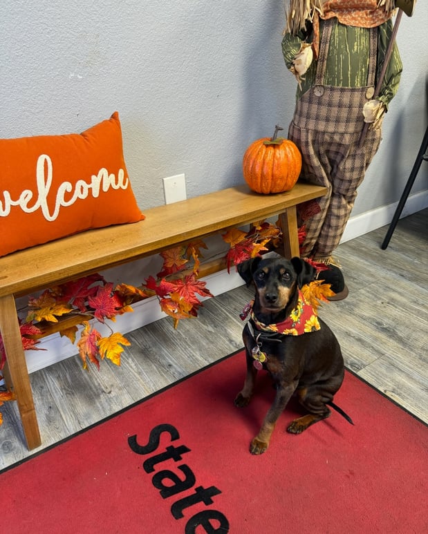 Images Jimmy Alvarez - State Farm Insurance Agent