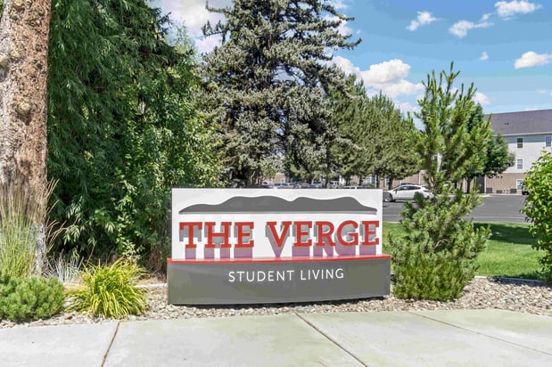 Images The Verge