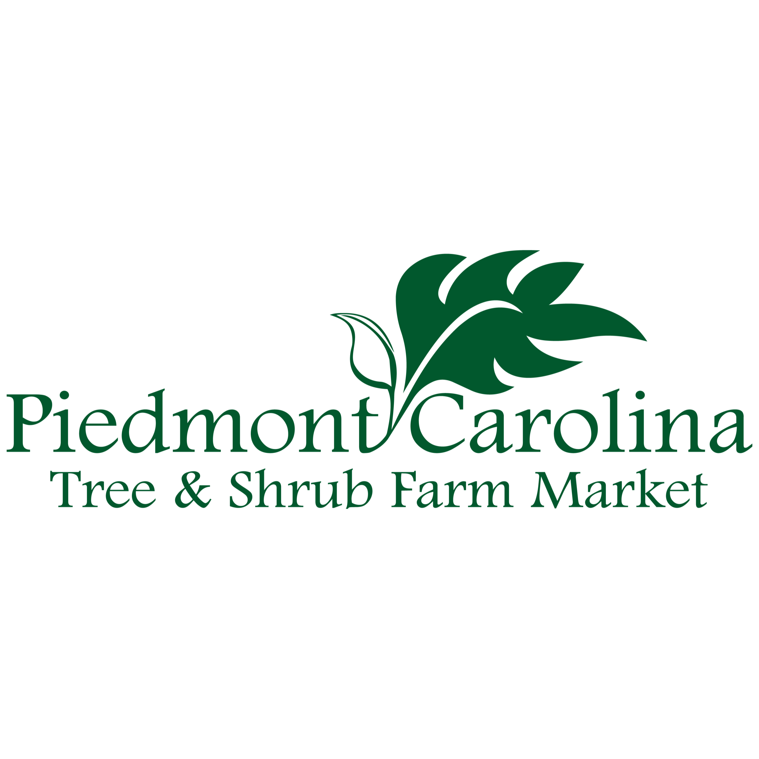 Piedmont Carolina Tree & Shrub Farm Market