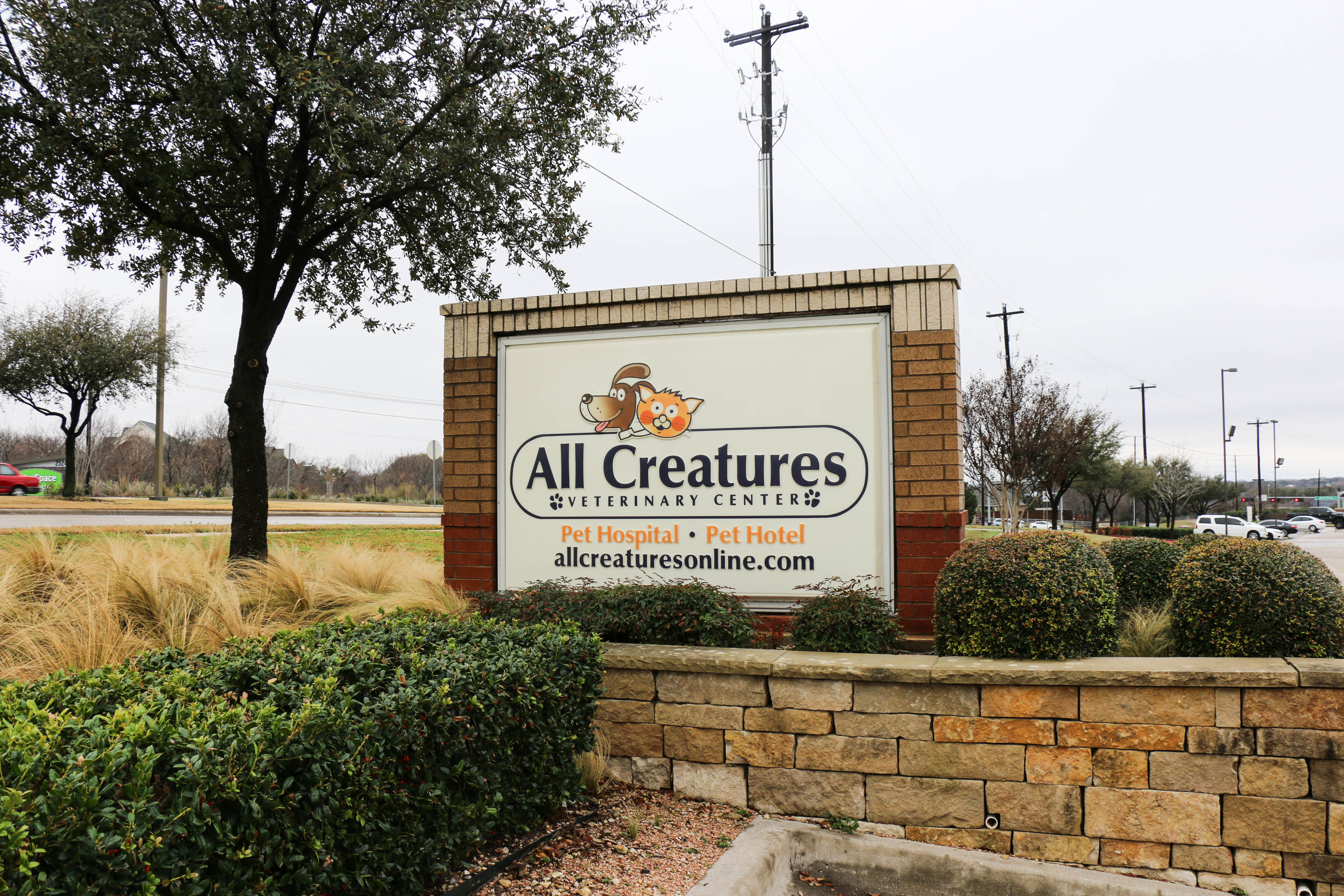 You know you’ve arrived to All Creatures when you see this sign on Hebron Pkwy in Carrollton, TX.