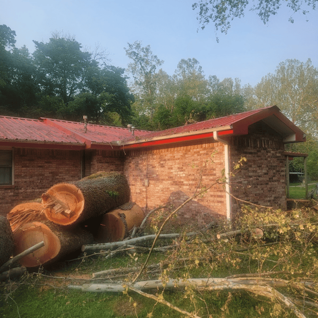 Images Valdez Tree Service LLC
