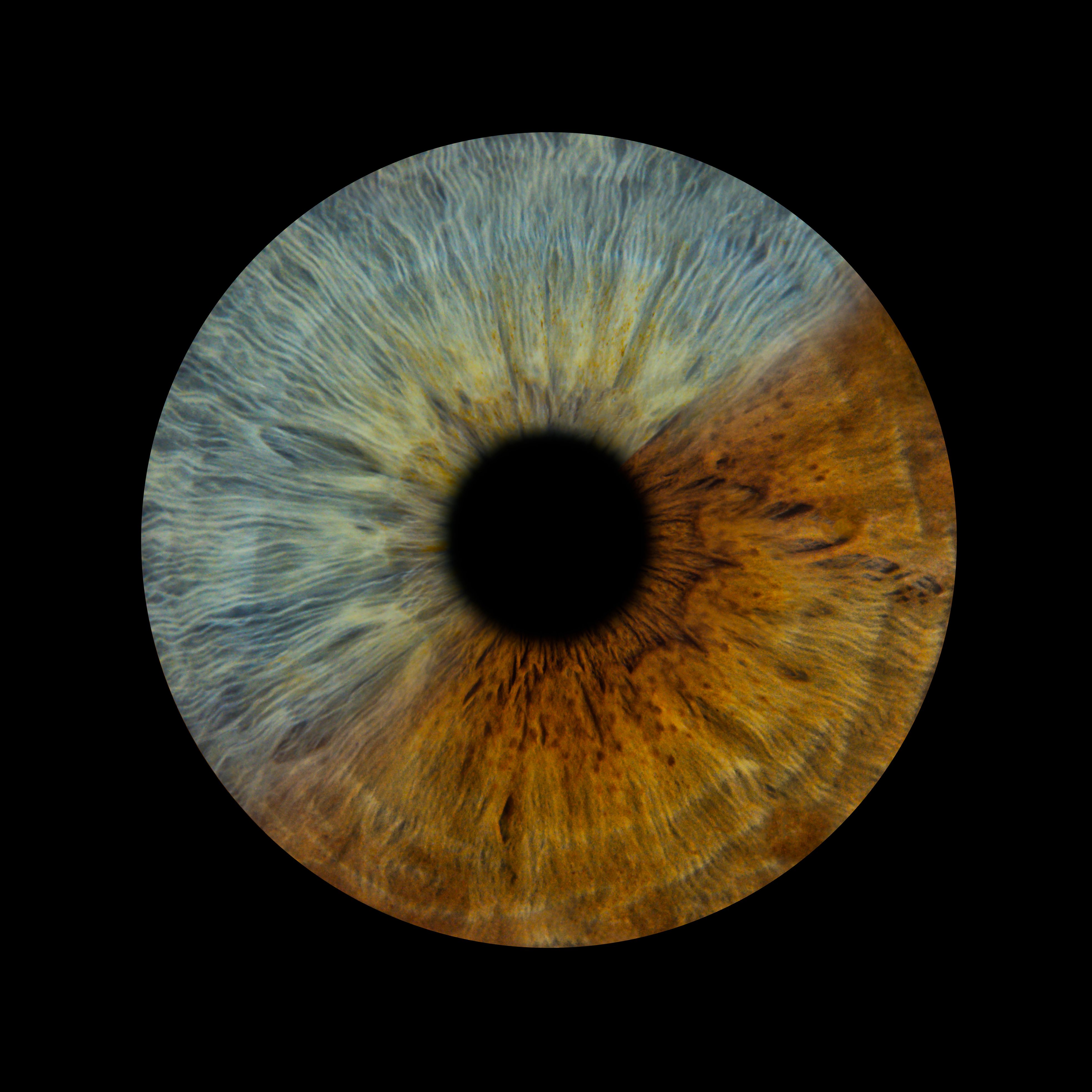 Bilder You & Eye Photo Montreux
