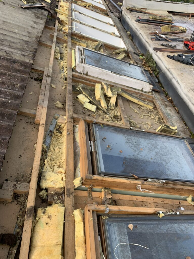 Bild 2 von DSM Bau GmbH