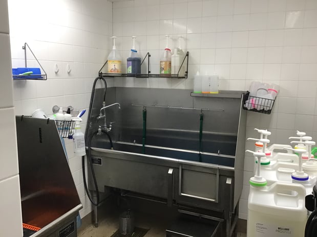 Images Petco Grooming