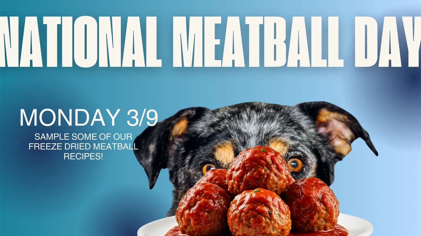 Image of Local Pet Event National Meatball Day Nearby