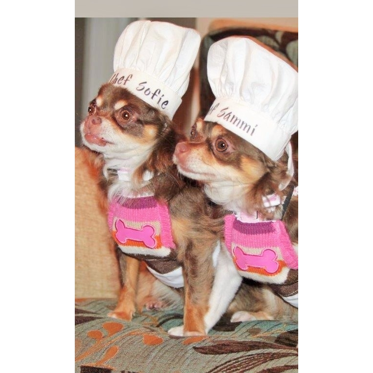 Sammi & Sofie's Wholesome Treats