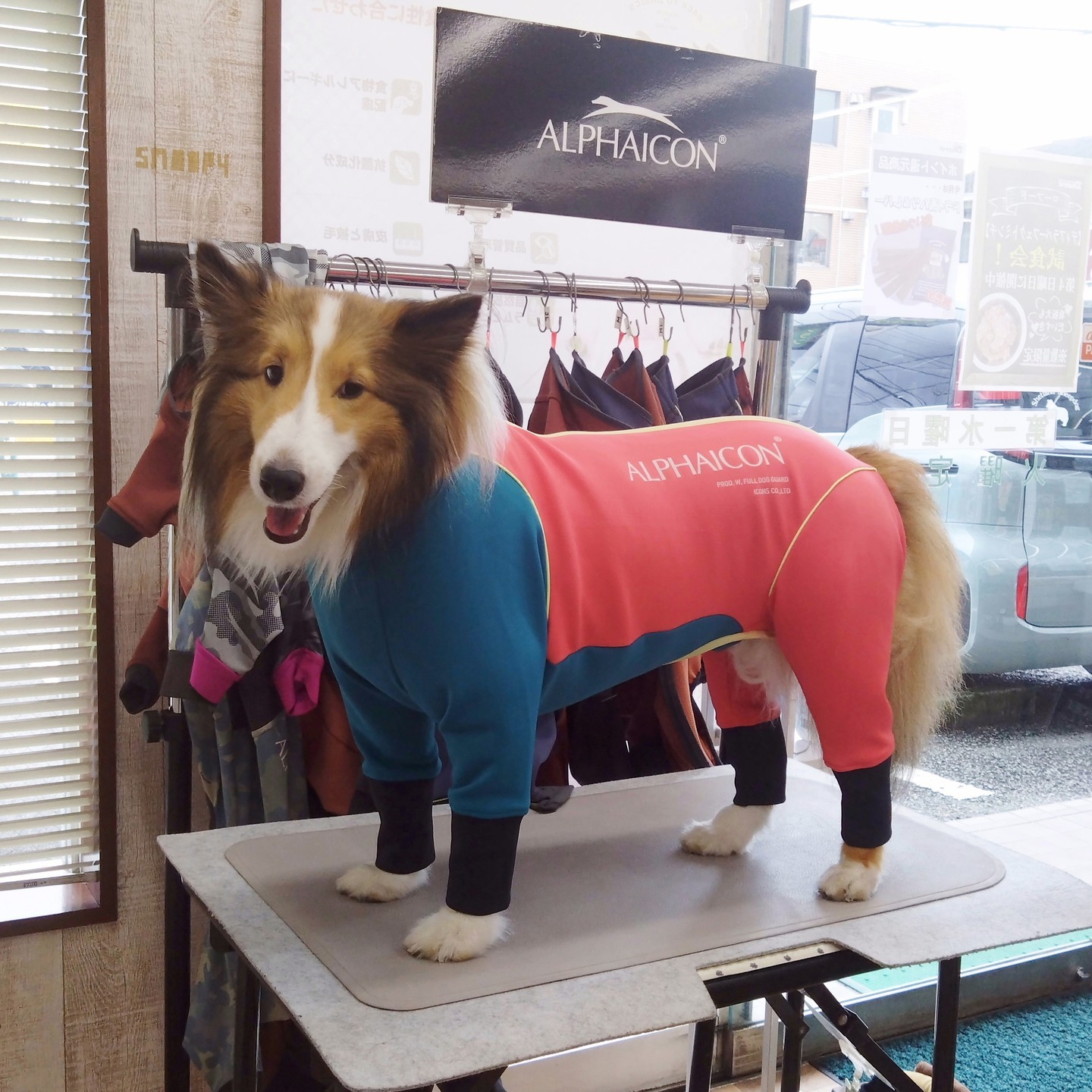 Images たまとポチ 宇津木店