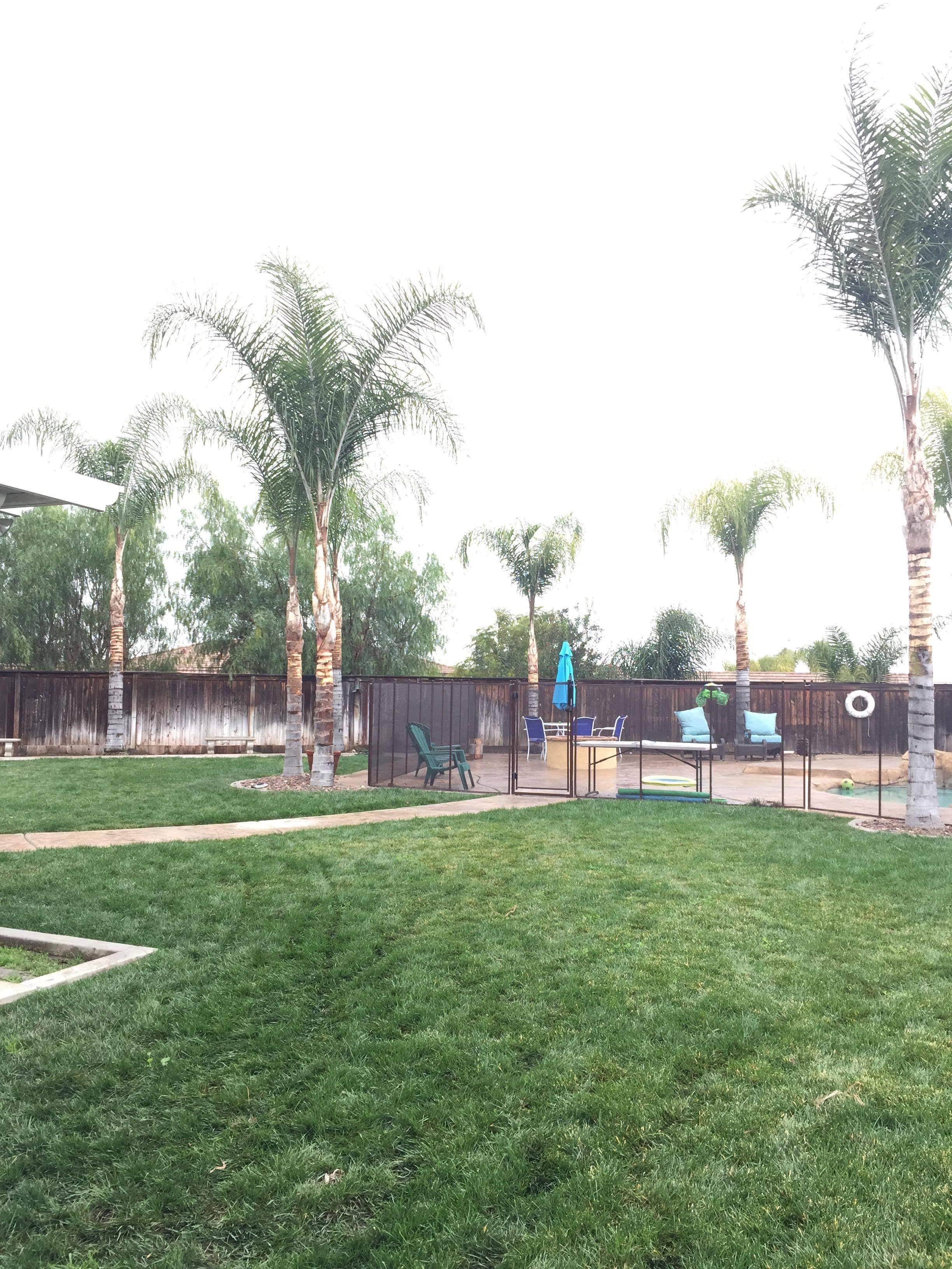 Danny's Landscaping Logo