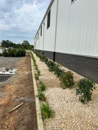 Images Juan Mata Lawn Care Services