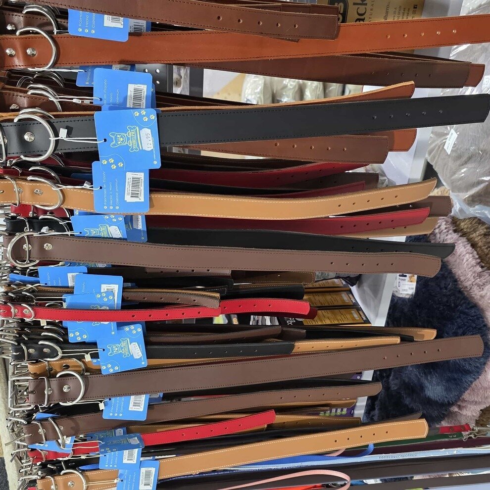 Images Mascotas gourmet