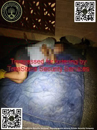 Images TreeStone Security Services