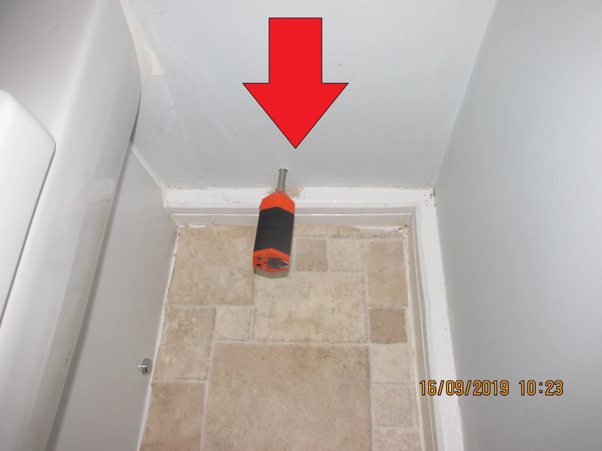 Images Damp Detectives