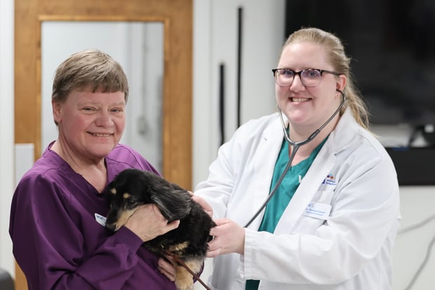 Images VCA Marshalltown Animal Hospital - CLOSED