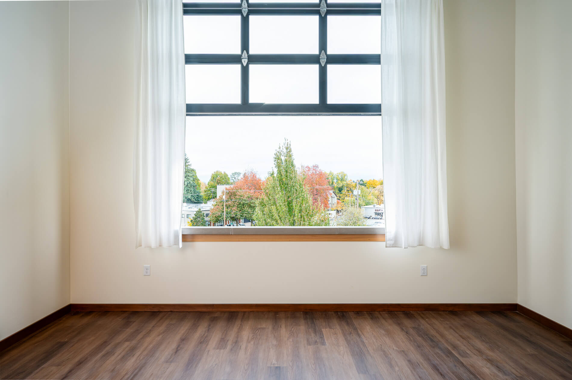 Window with blinds