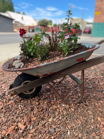 Images Inland Networks