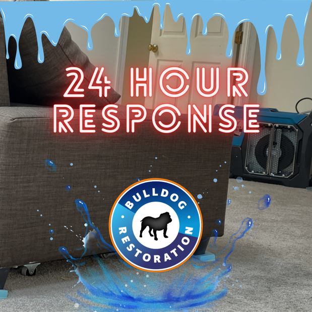 Images Bulldog Cleaning & Restoration