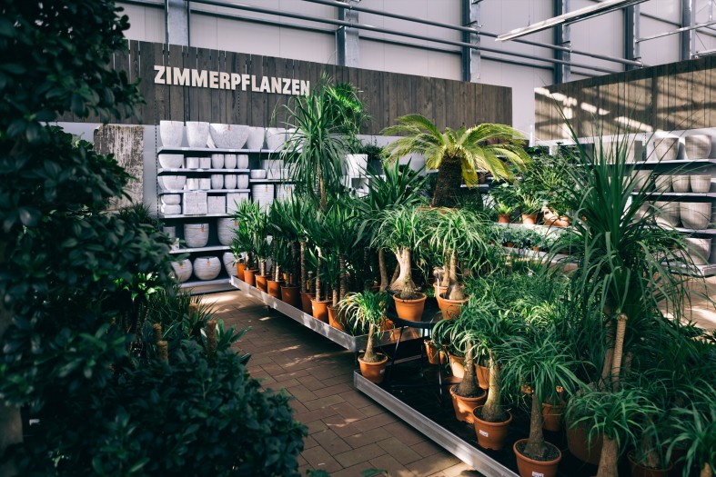 Kundenbild groß 16 Garten-Center Kremer GmbH