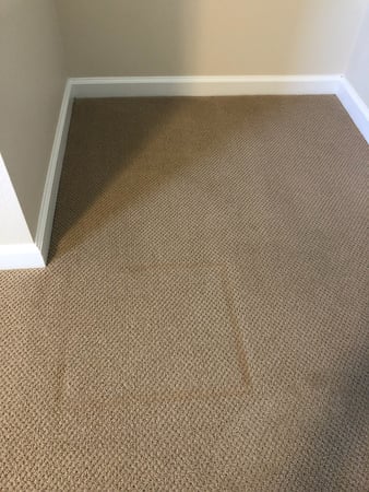 Images Carpet Pro Carpet Cleaning & Dyeing