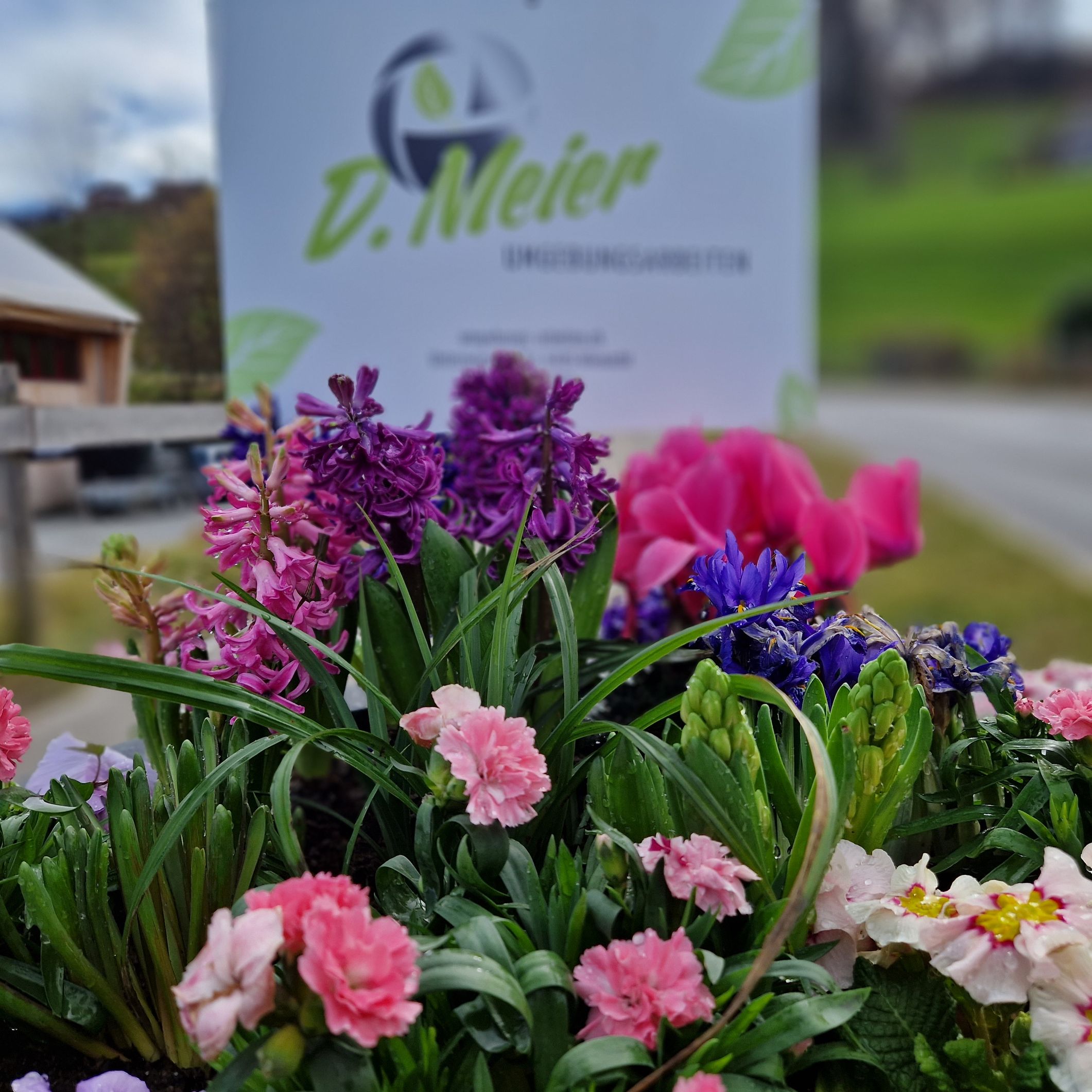 Bilder D. Meier Umgebungsarbeiten GmbH