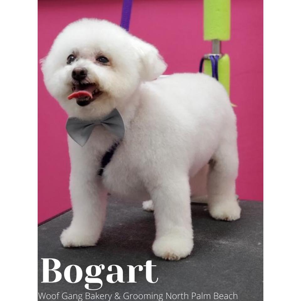 Woof Gang Bakery & Grooming North Palm Beach Photo