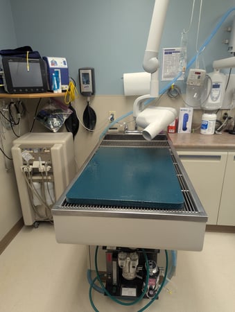 Images VCA Avondale Veterinary Hospital